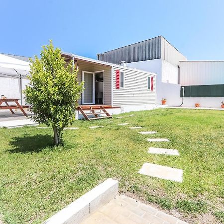 Vita Portucale ! Country House With Garden Шарнека Экстерьер фото